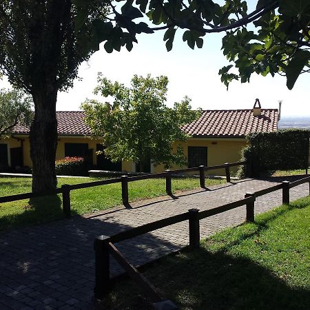 Agriturismo La Vite E Gli Ulivi Villa Ariccia Exterior photo
