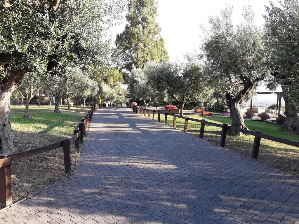 Agriturismo La Vite E Gli Ulivi Villa Ariccia Exterior photo
