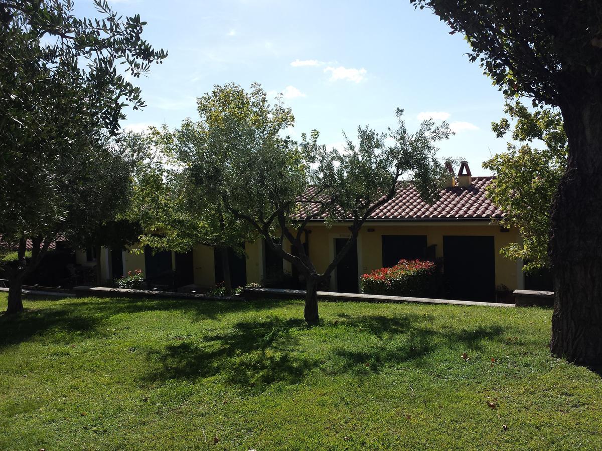 Agriturismo La Vite E Gli Ulivi Villa Ariccia Exterior photo